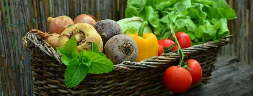 Alimentos de temporada
